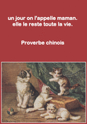 Un doux c&acirc;lin de chatons pour maman